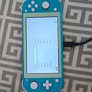 Nintendo Switch Lite